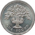 1pound1992rev